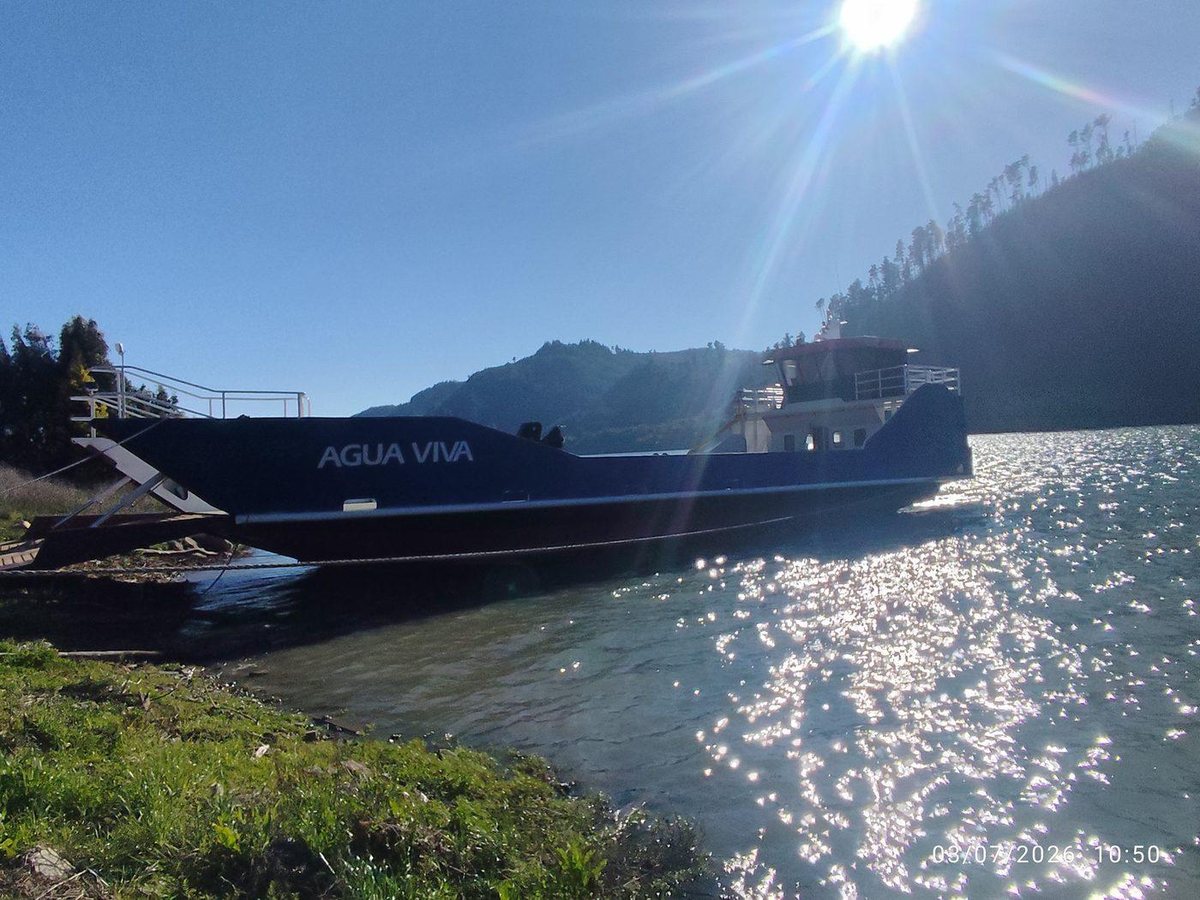 Agua Viva, perfil de babor