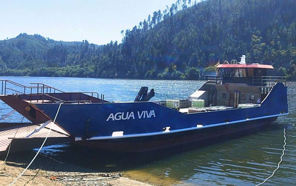 Agua Viva